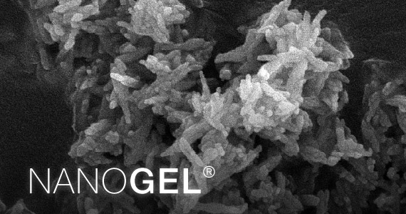 nanogel